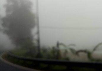 Ada Tempat yang Diselimuti Kabut Selama 200 Hari dalam Setahun
