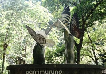 Berlibur ke Makassar? Jangan Lupa ke Museum Kupu-kupu Bantimurung