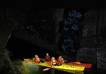 Beginilah Cara Menjaga Cacing Bercahaya di Waitomo Glowworm Cave Supaya Tetap Sehat
