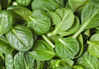 Ada yang Berbahaya dan Ada yang Justru Bergizi, Sayur dan Bahan Makanan Ini Sebaiknya Dimasak Lebih Dulu