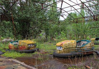 Meski Pernah Terkena Ledakan Nuklir, Ada Satwa yang Berkembang Biak di Chernobyl
