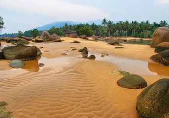 Mau Berlibur di Batas Negara Indonesia dan Malaysia? Yuk, ke Temajuk!