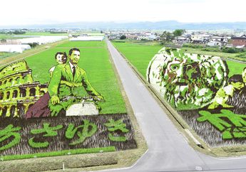 Tanbo Art, Seni Melukis Sawah Menjadi Warna-warni Menggunakan Padi