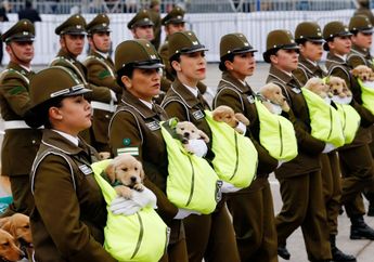 Anak-Anak Anjing Ikut Parade Militer di Chili, Ada Apa Sebenarnya?