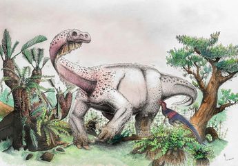 Wah, Ada Dinosaurus Seberat 2 Ekor Gajah yang Meringkuk Seperti Kucing