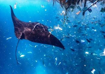 Mengurangi Polusi, Kota Denpasar Melarang Penggunaan Kantung Plastik