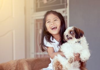 Seekor Anjing Dilatih untuk Mengawasi Pemiliknya Mengerjakan PR