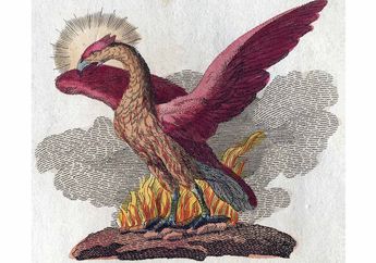 Bisa Hidup Ratusan Tahun dan Bangkit Kembali, Burung Phoenix Menjadi Simbol Hidup Abadi #MendongenguntukCerdas
