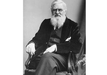 Alfred Wallace, Penjelajah Kepulauan Nusantara