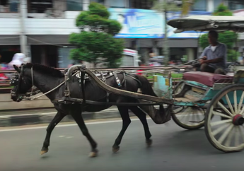 Ada Banyak Kuda Berjajar di Alun-Alun Kota Kuningan, Ada Apa, ya?