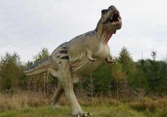 Dikenal Suka Mengejar, Menurut Peneliti T-Rex Sulit Berlari Cepat, lo!
