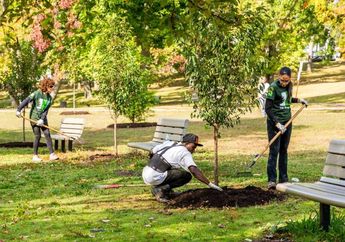 Arbor Day, Hari Libur Nasional di Nebraska untuk Menanam Pohon