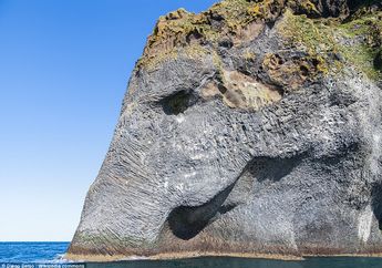 Unik! Sebuah Batu di Islandia Berbentuk Seperti Seekor Gajah