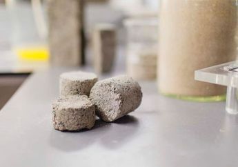 Bukan Tanah Liat, Batu Bata Ini Diciptakan dari Pipis Manusia