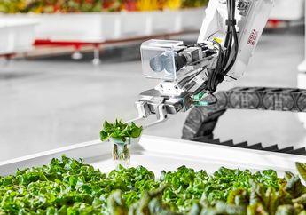 Wah, Para Robot Merawat Tanaman di Perkebunan Ini, Keren, ya!
