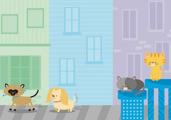 Dongeng Anak: Kucing Siam yang Sombong