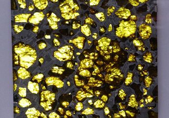 Sering Dijadikan Perhiasan, Batu Meteorit Fukang Ini Memang Indah