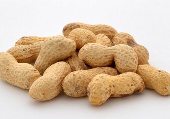 Kacang Tanah Bukan Kacang-kacangan, Lalu Termasuk Kelompok Apa?