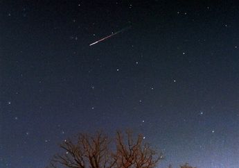 Hujan Meteor Leonids, Hujan Meteor Pertama yang Terekam Manusia