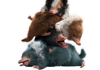 Di Fantastic Beasts 2, Satwa Ajaib Apa Lagi yang Akan Muncul?