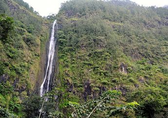 Air Terjun Sedudo Berubah Jadi Hitam, Cari Tahu Sebabnya, Yuk!