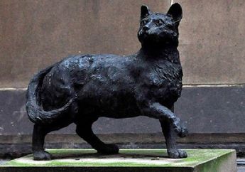 Ternyata Seekor Kucing Juga Ikut Menemukan Benua Australia, lo