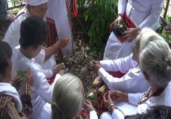 Mengenal Tradisi Messalu Lembang, Ritual Menolak Gempa di Mamasa