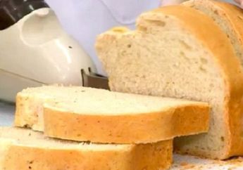 Ada Roti yang Dibuat dari Tepung Kecoak, Proteinnya Tinggi, lo!