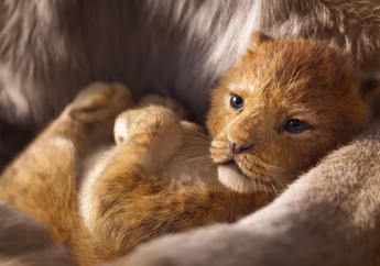 Disney Merilis Poster 11 Karakter Lion King, Ada Siapa Saja, ya?