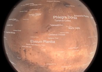 Elysium Planitia, Tempat Mendarat InSight Mars Lander