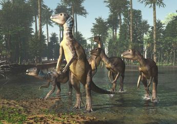 Ilmuwan Menemukan Dinosaurus Baru, Besarnya Seperti Anjing Kelpie!