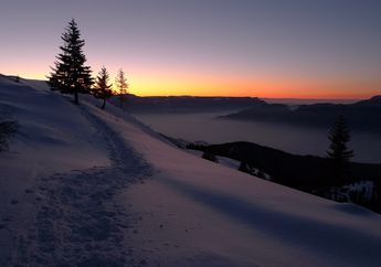 Mengenal Solstice, Hari Titik Balik Matahari Setiap Desember dan Juni