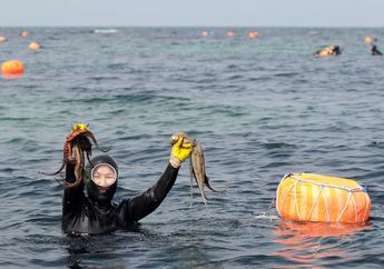 Haenyeo, Tradisi Penyelam Perempuan di Pulau Jeju, Korea Selatan