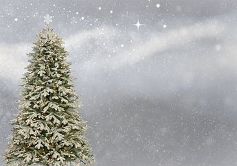 Serba-serbi Natal, Tradisi Meletakkan Pohon Natal Berasal dari Jerman