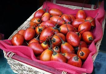 Namanya Terung Belanda, Apakah Memang Berasal dari Negeri Belanda?