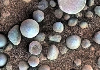 Ada Bluberry di Planet Mars, Apakah Benda Ini Sama dengan Buah?