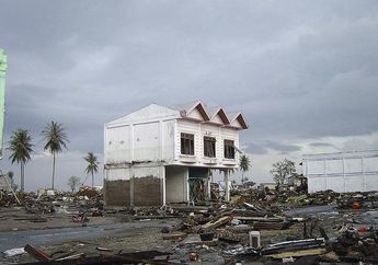 Inilah 5 Kejadian Tsunami Paling Besar yang Pernah Terjadi di Bumi