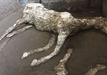 Ditemukan Sisa-Sisa Bencana Alam Gunung Meletus di Pompeii, Apa Saja?