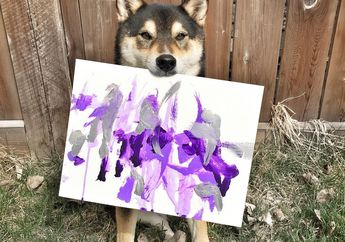 Berkenalan dengan Hunter, Anjing Shiba Inu yang Bisa Melukis