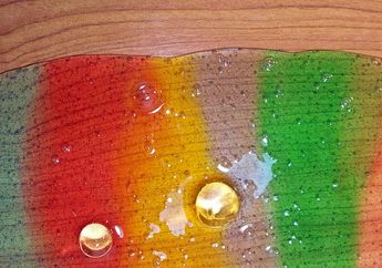 7 Aktivitas Sains yang Seru Ini Bisa Dilakukan di Rumah, Ada Slime, lo!