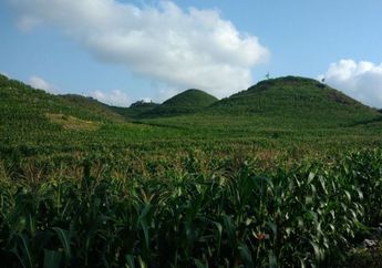 Wah, di Yogyakarta Ada Lokasi Wisata Mirip Bukit Teletubbies, lo!