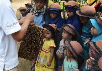 Ingin Belajar tentang Lebah Madu? Yuk, Belajar di Taman Wisata Lebah!