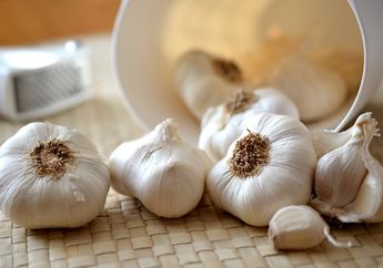 Serangga Mengganggu? Yuk, Coba Usir dengan 4 Bahan Alami Ini!
