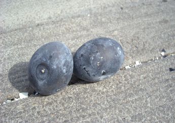 Di Jepang, Ada Telur yang Kulitnya Berwarna Hitam, lo