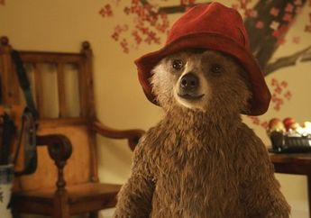 Ternyata Paddington Bear Terinspirasi Jenis Beruang Langka Ini, Pernah Tahu?
