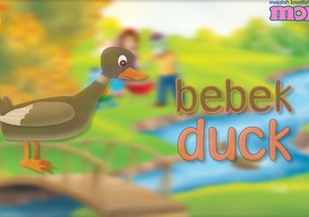 Yuk, Mengenal Hewan-hewan yang dalam Bahasa Inggris Berawalan Huruf D!