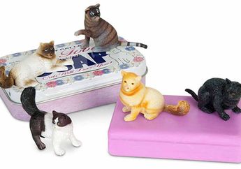 Intip Sabun Batang Unik Ini, yuk! Ada yang Wangi Makanan Kucing, lo!