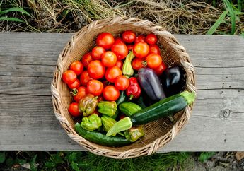 Sering Salah, 6 Buah Ini Sering Dimasukkan dalam Kelompok Sayuran!