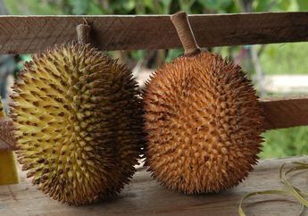 Bukan Durian, Inilah Pampakin si Kembaran Durian! Pernah Coba?