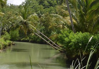 Kali Cokel di Pacitan, Pemandangan Indah yang Menyegarkan Mata